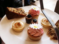 cupcakes-1625306.jpg