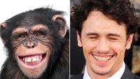 Prominente Lookalikes: Lustige und skurrile Doppelgänger