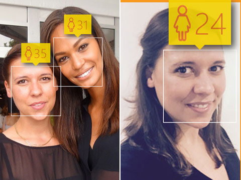 nadine-schnitt-2049456.jpg