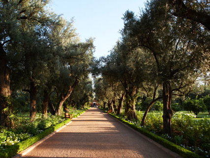 garden-la-mamounia-2057637.jpg