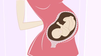 32. SSW - Infos & anstehende Tests der 32. Schwangerschaftswoche