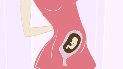 13. SSW - Die Entwicklung des Babys in der 13. Schwangerschaftswoche