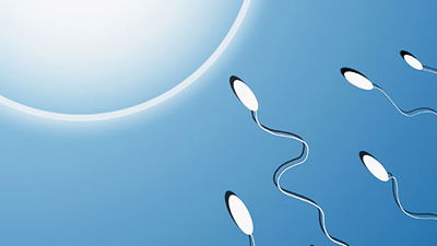 "Mach schnell, ich hab' grad' Eisprung!!"