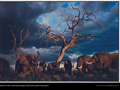 Pirelli Kalender 2009: Botswana