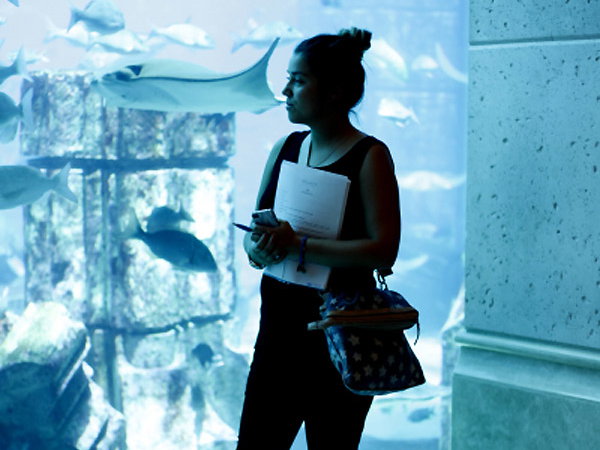 Jolie in Dubai