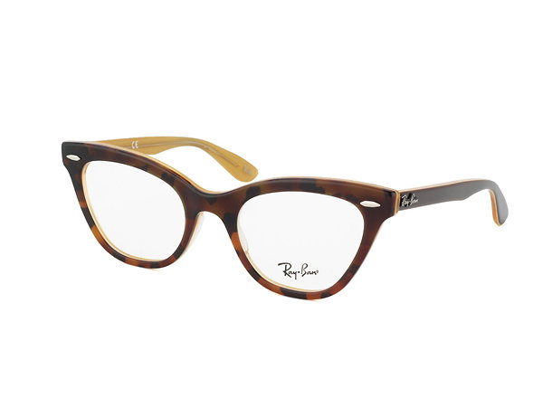 Ray Ban Brillen