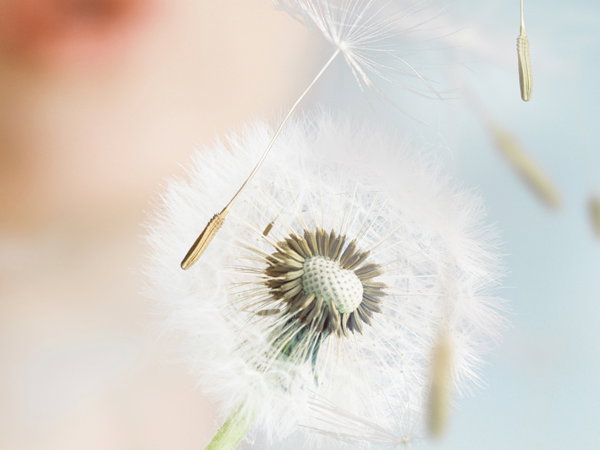 Was ist eine Allergie?