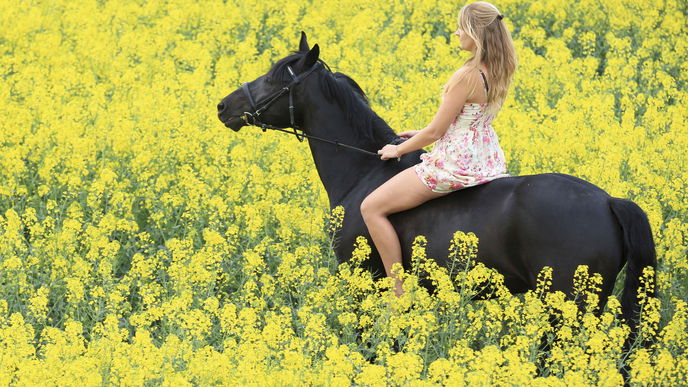 Cowgirl - die gefährlichste Stellung der Welt!
