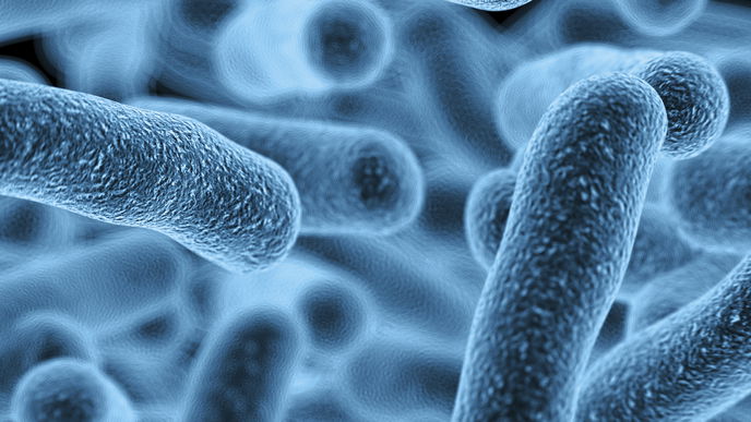 Chlamydien: Ursachen, Symptome & Therapie bei Infektion