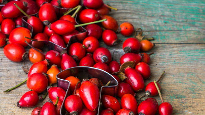 33 Lebensmittel gegen Krebs