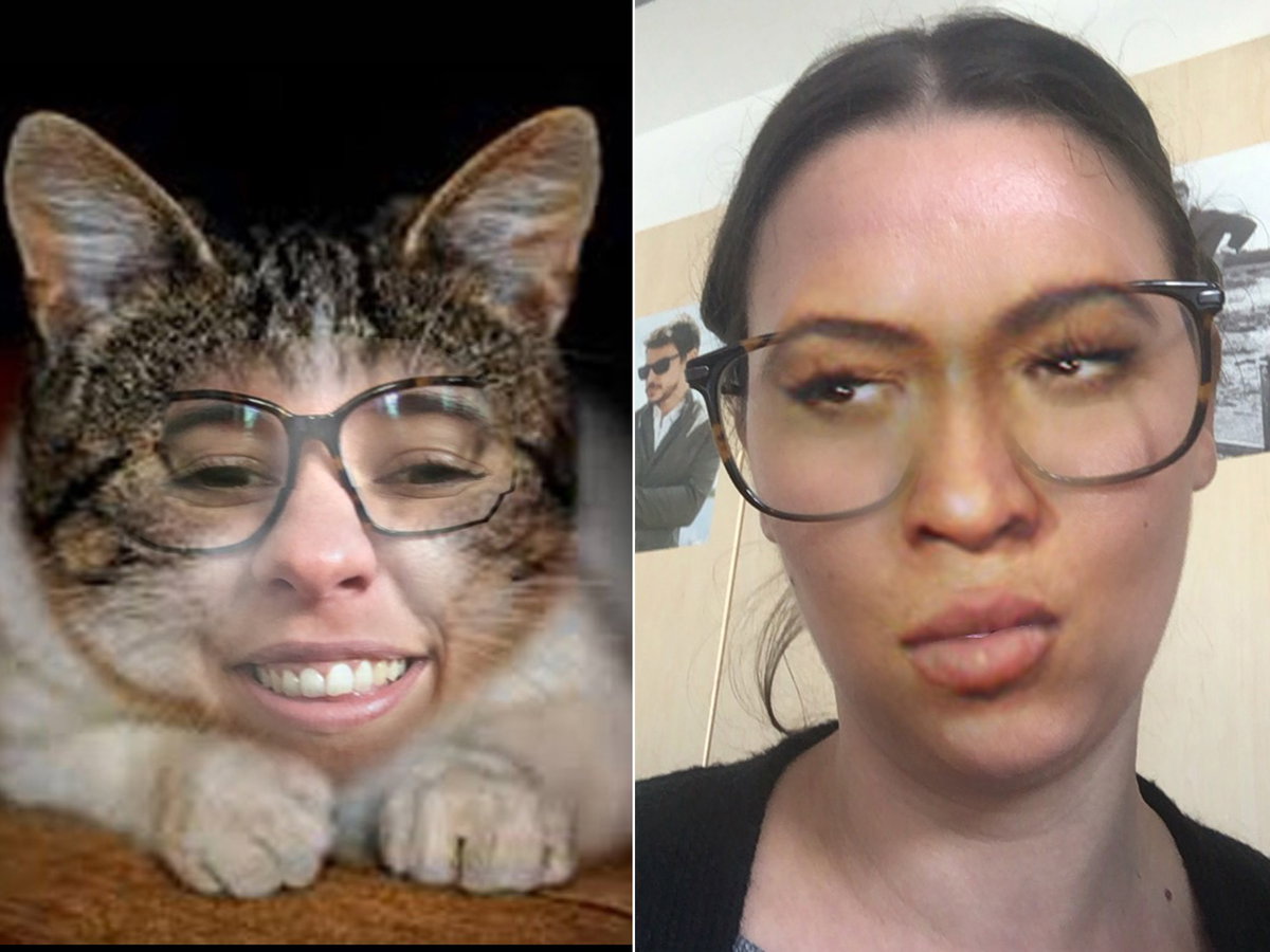 dini-knowles