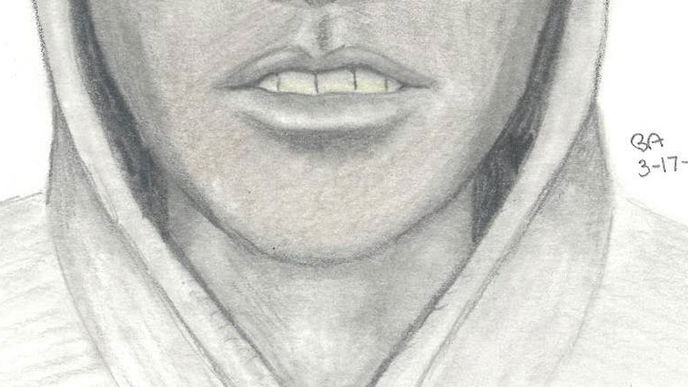 Dieses Phantombild ist der Lacher im Netz
