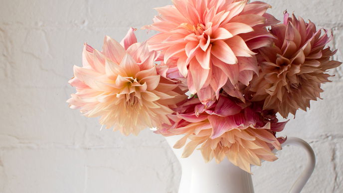 Wie halten Blumen länger? - Tipps und Tricks 