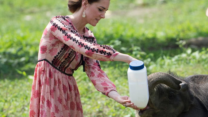 Duchess Catherine und ihre Kleider in Indien