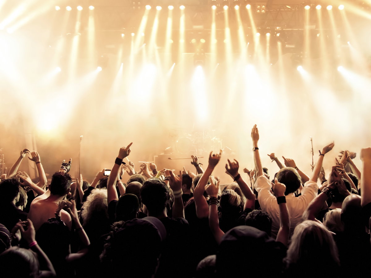 Festival Planer