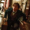 Fantastic Beasts: Harry Potter-Prequel