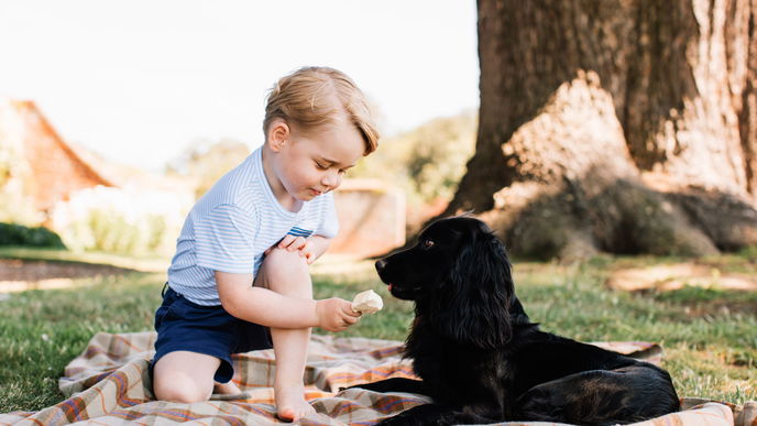 Prinz George - Bilder des kleinen Thronfolgers