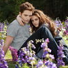 Kommt ein neuer Twilight Film?