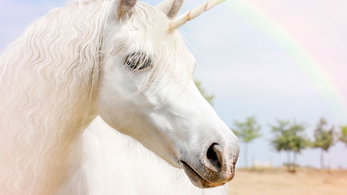 Ritter Sport Einhorn Schokolade