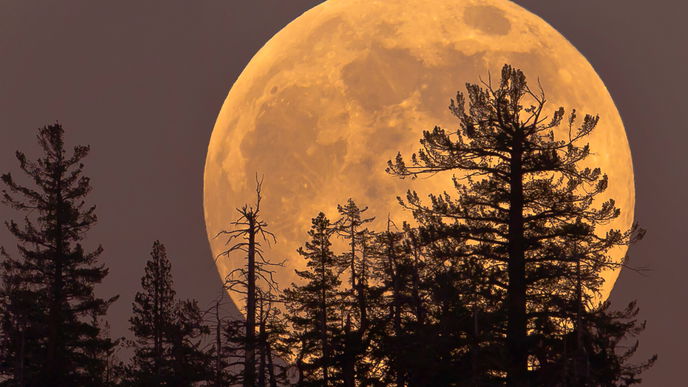 Supermond am 14.11.