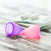 Menstruationstasse einführen: Anleitung und Information