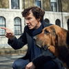 Sherlock: Gibt es eine vierte, heimliche Zusatzfolge?