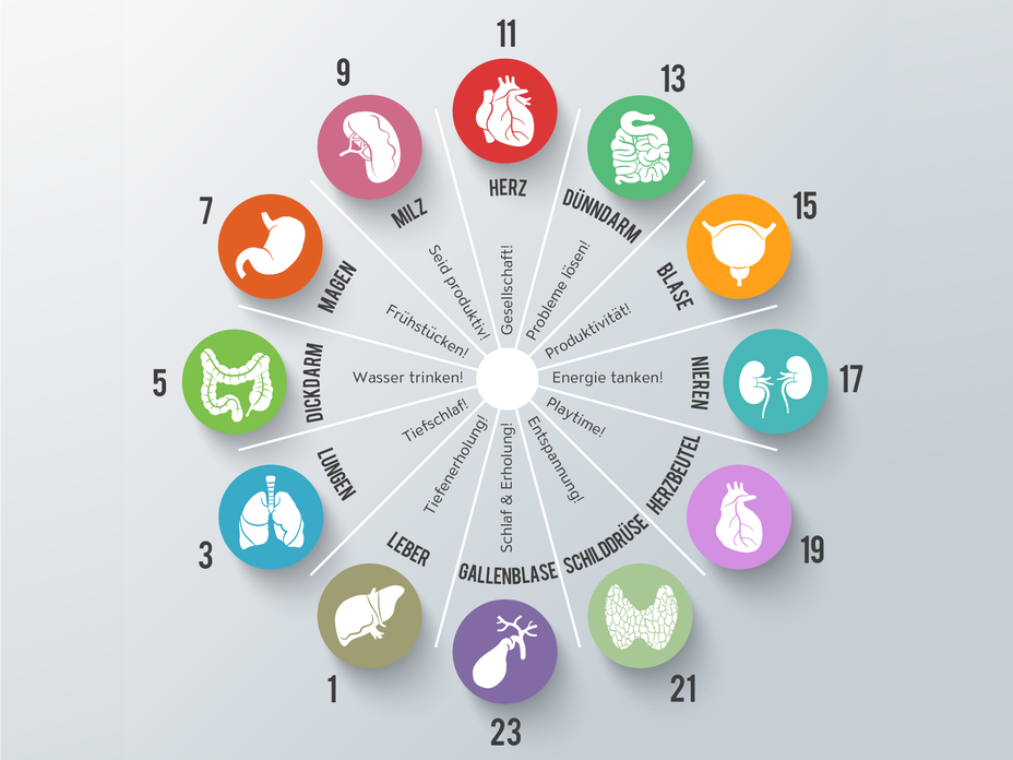 Infografik-Artikelbild-Teaser-2000x1500