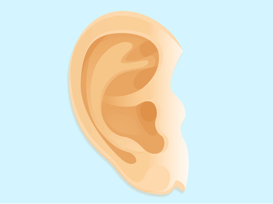 aufmacher-ohr-illus-2000x1500