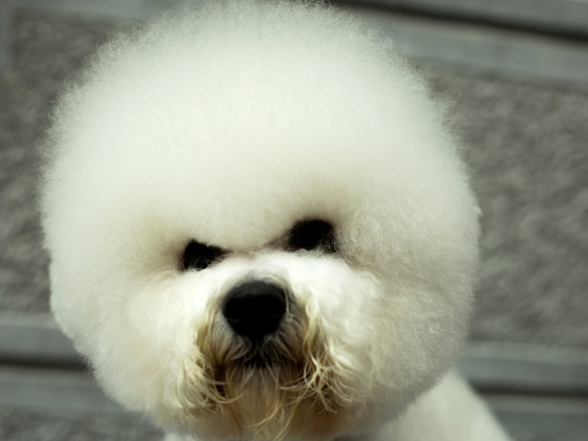 fluffy