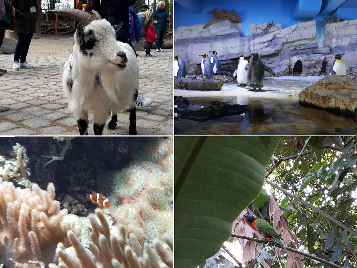 Tierbilder-aus-dem-Tierpark-Hellabrunn