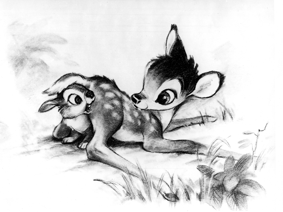 BAmbi