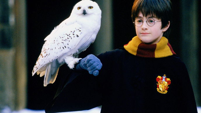 Es gibt zwei Harry Potter! 