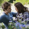 Twilight 5 - Alle Infos zur Fortsetzung