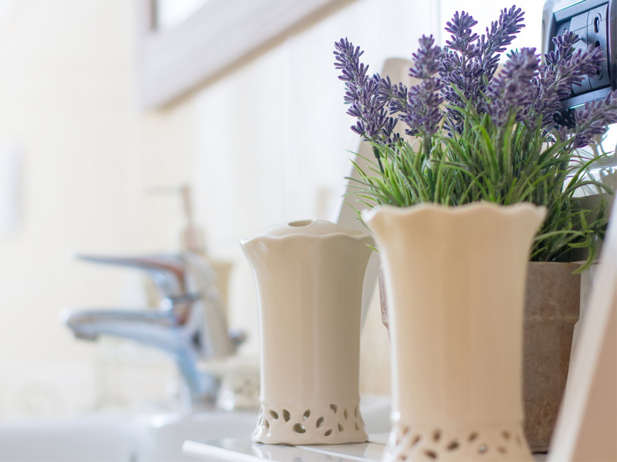 Lavendel hilft gegen Spinnen in der Wohnung