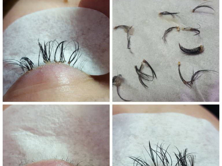 Wimpern
