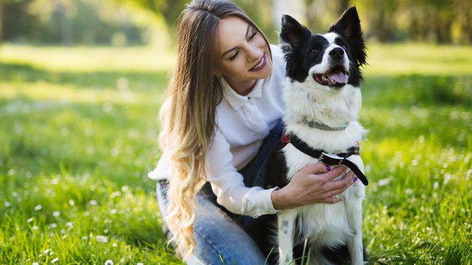 Hund entlaufen? Das solltet ihr tun
