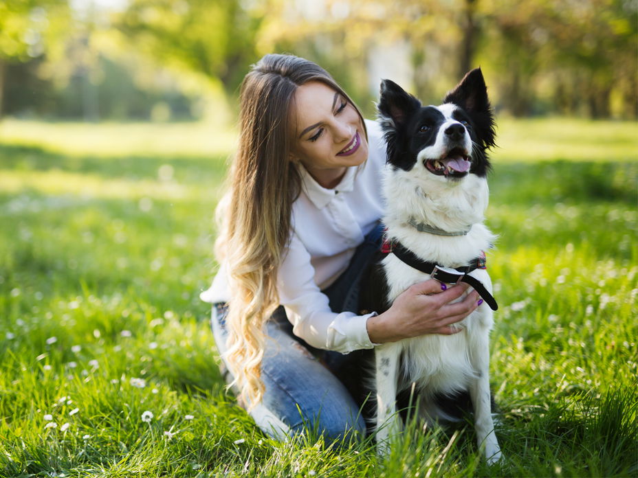 Dieser Expertentipp rettet Hundeleben was tun wenn Hund entlaufen ist