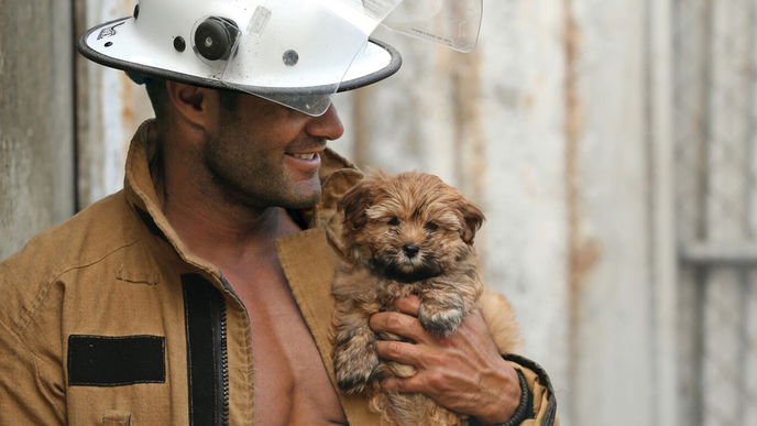Heiße Feuerwehrmänner & Tierbabys