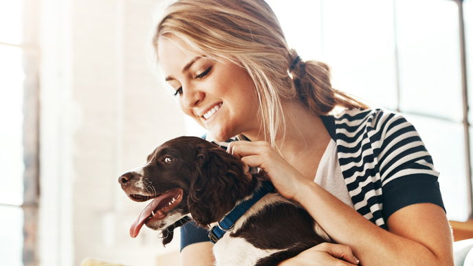 Laut Studie: Menschen mögen Hunde lieber als andere Leute