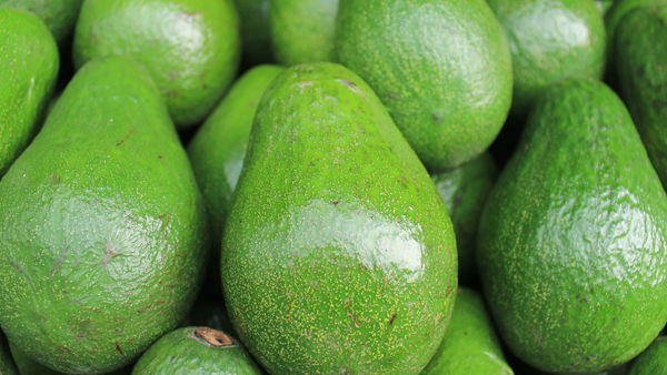 Es gibt kernlose Avocados mit essbarer Schale!