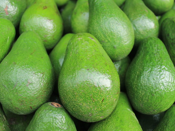 avocado
