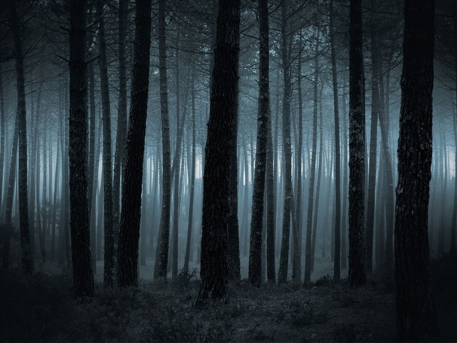 slender man mythos slenderman