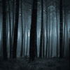 Slender Man - Wer hat Angst vorm gesichtslosen Mann?