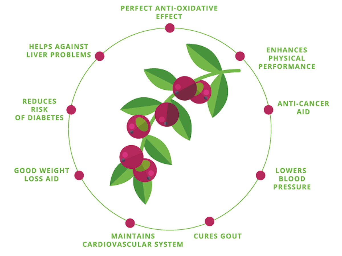 camu-camu-vorteile-benefits
