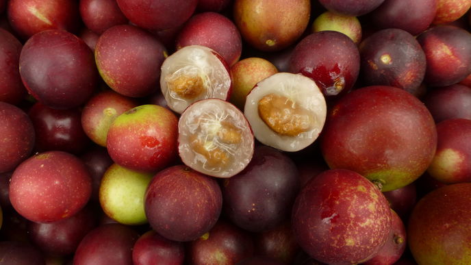Camu Camu: Alles über das Superfood