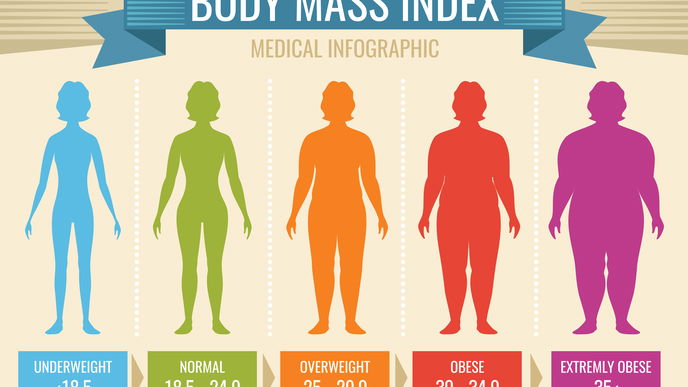 BMI Rechner