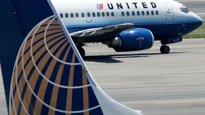 Hundewelpe stirbt in United Airlines Gepäckfach 