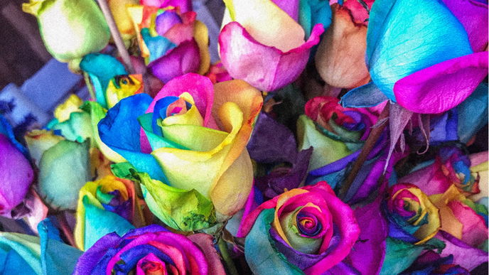 Farben und ihre Bedeutung: Als Wandfarbe, Kleidung & mehr!