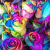 Farben und ihre Bedeutung: Als Wandfarbe, Kleidung & mehr!