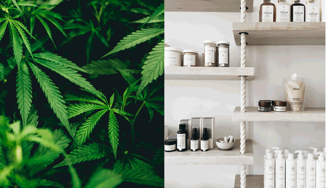 Cannabis ist die neue Beauty-Wunderwaffe